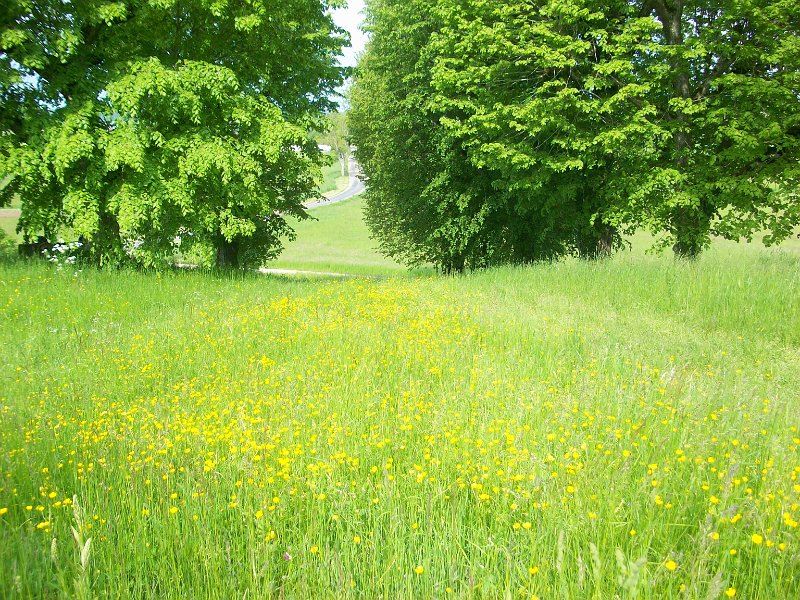 386.JPG