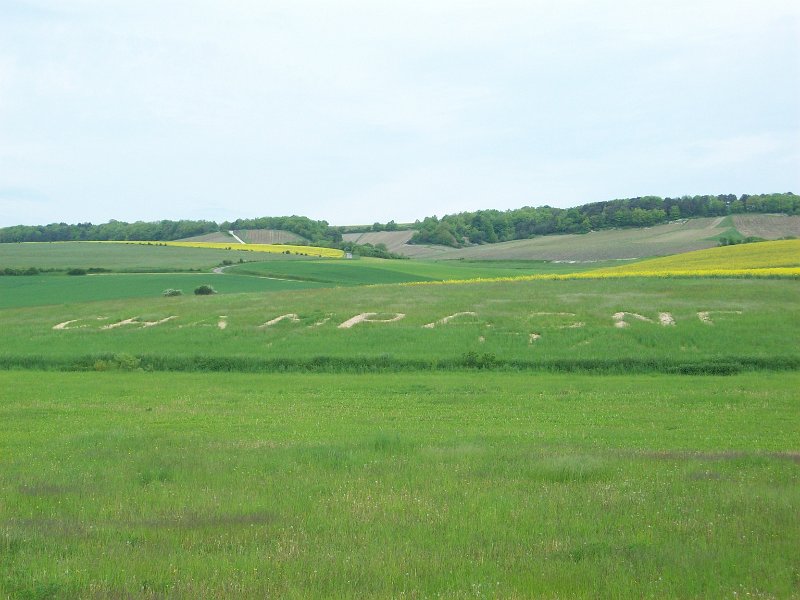 388.JPG