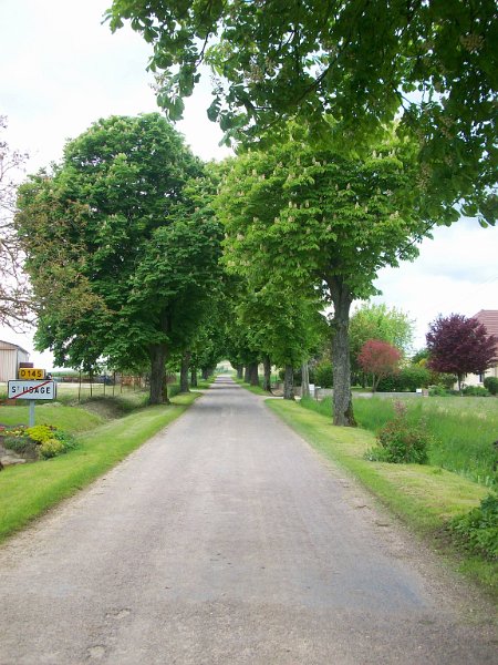 393.JPG