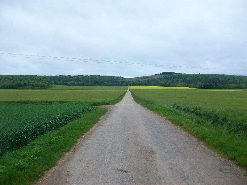 410.JPG