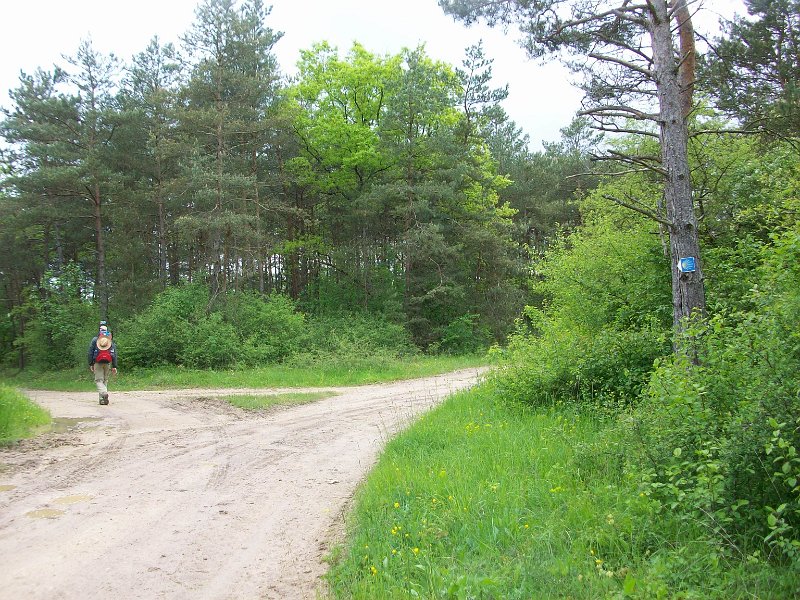 417.JPG