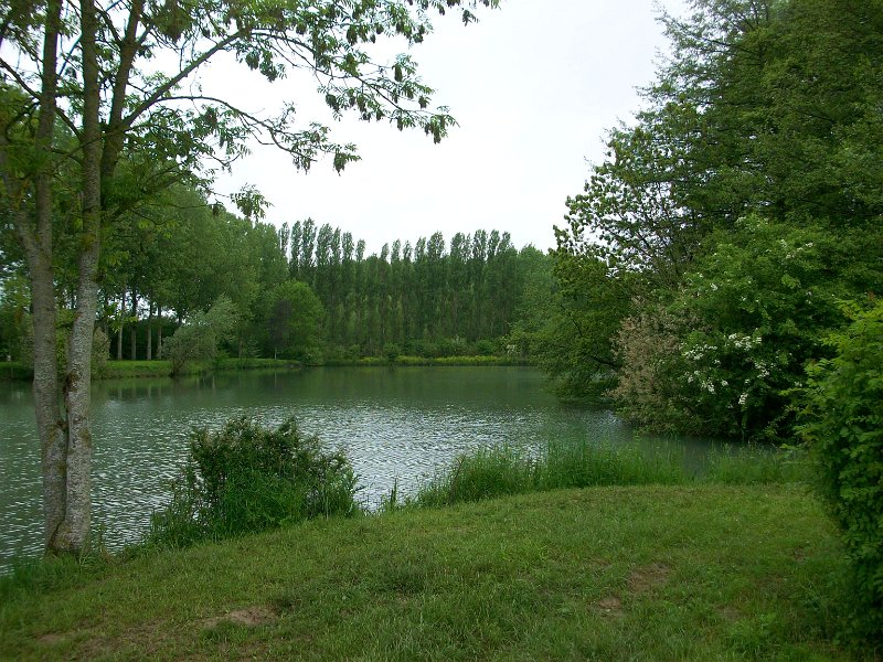 435.JPG