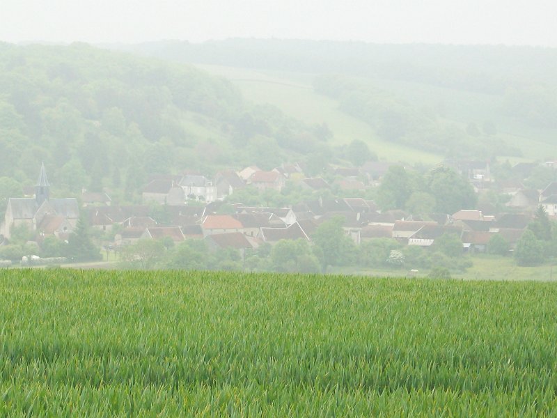 445.JPG