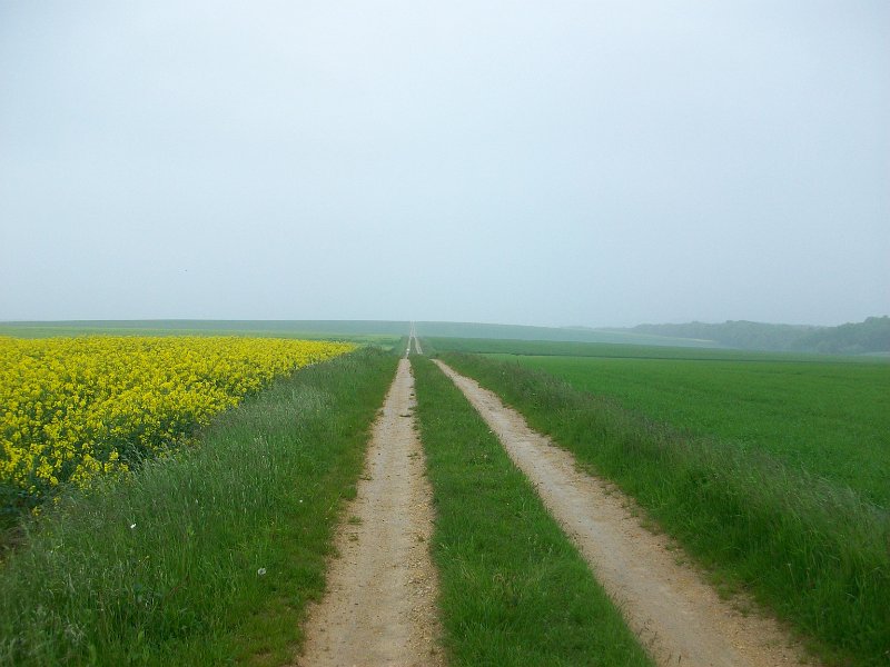 446.JPG
