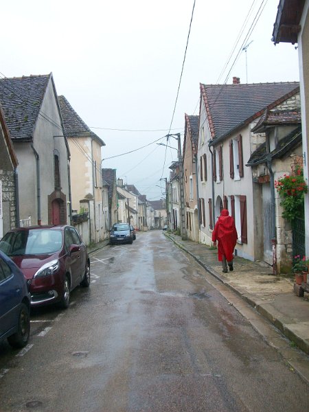 449.JPG