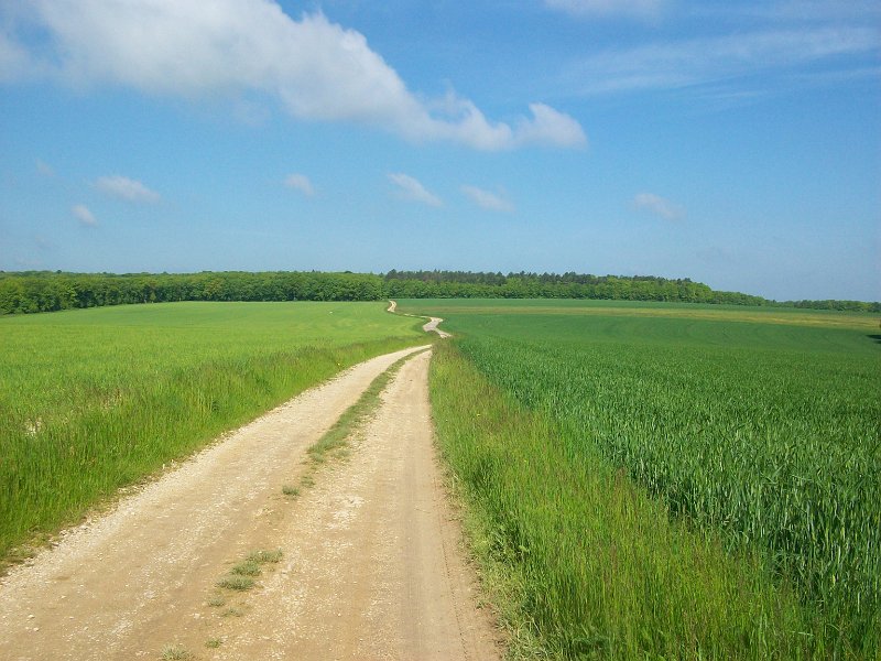 468.JPG