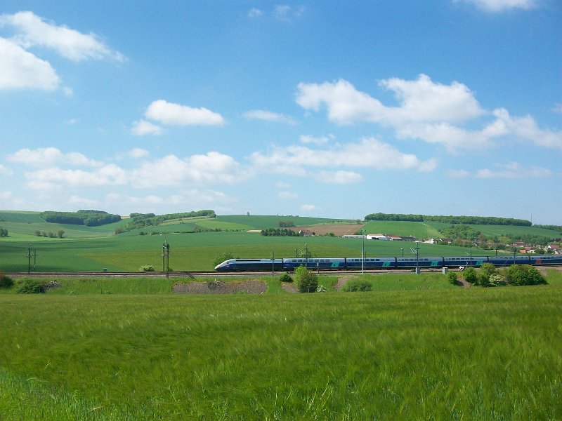 470.JPG