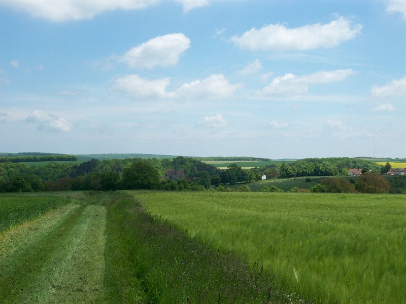 472.JPG