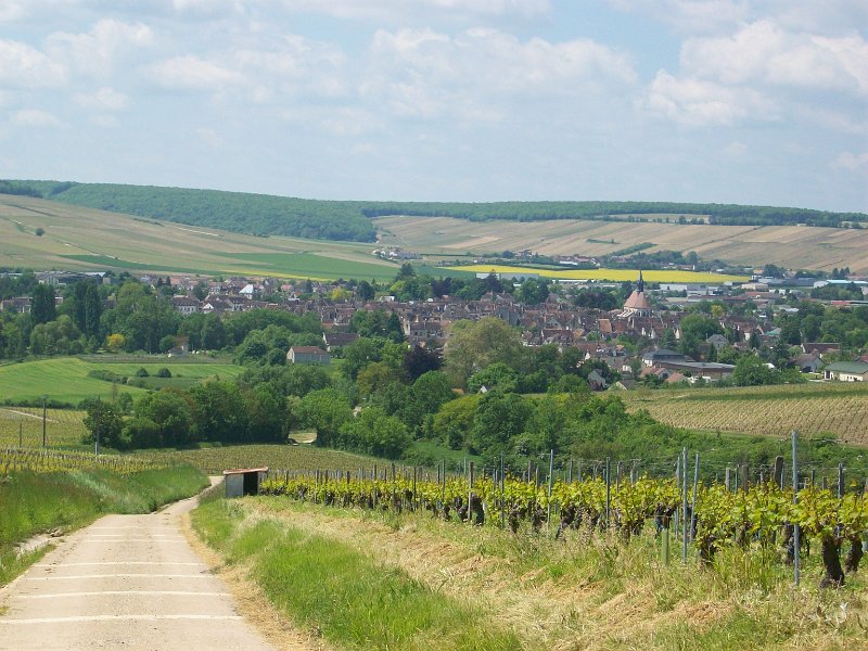 475.JPG