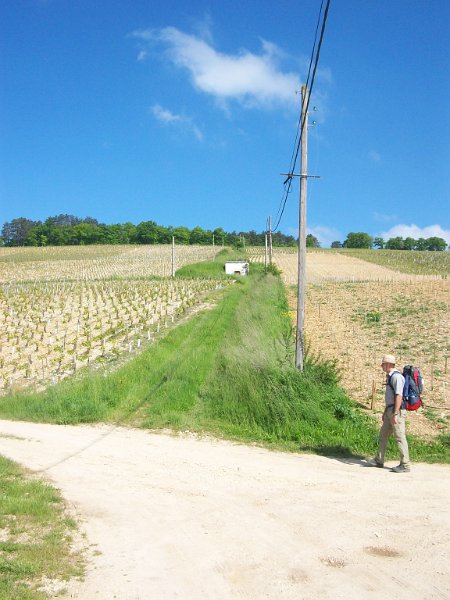 488.JPG