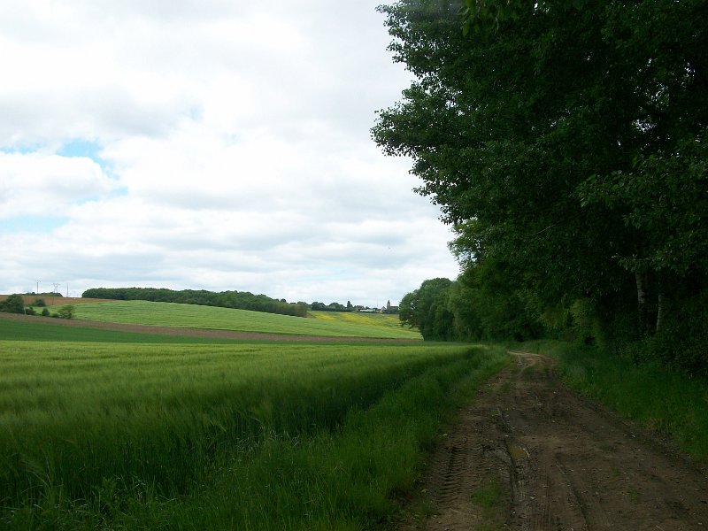 495.JPG