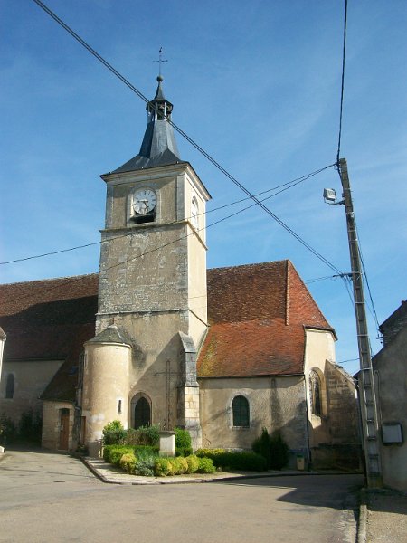 545.JPG