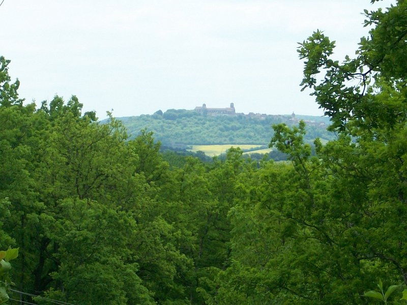 553.JPG