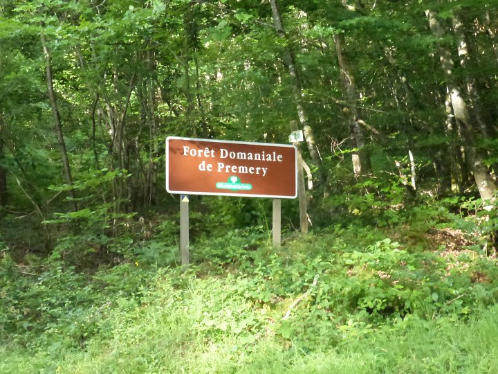 119.JPG