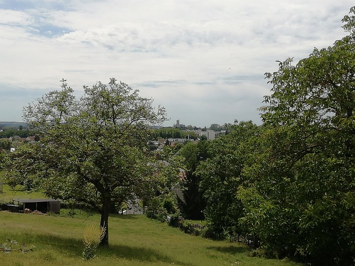 137.jpg