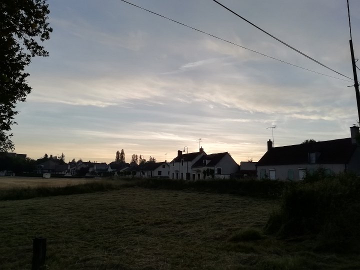 250.jpg