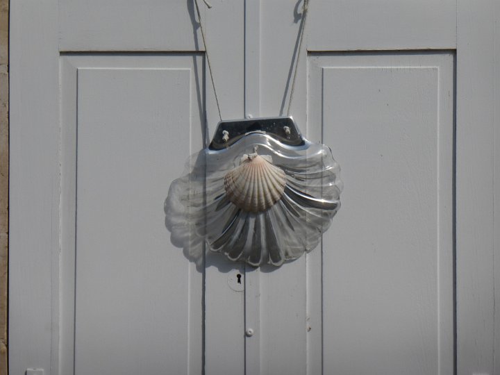 290.JPG