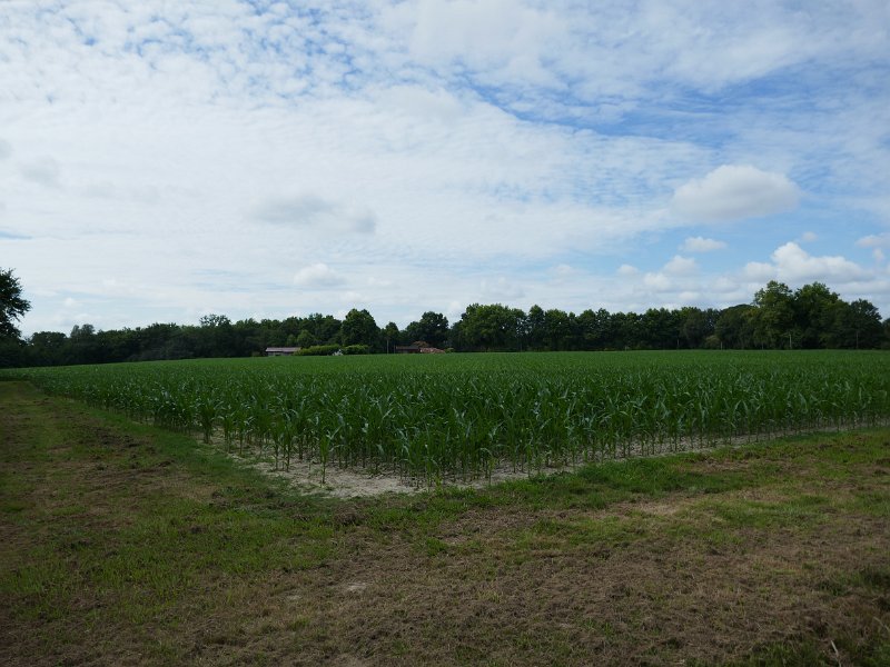 06-014.JPG