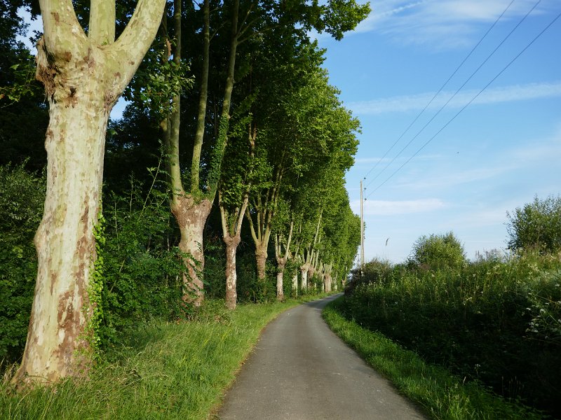 07-007.JPG