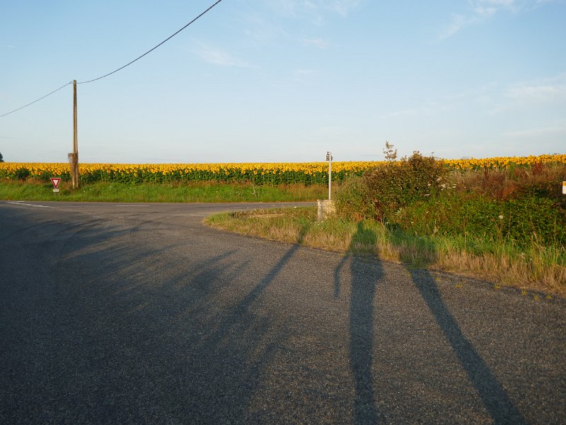 08-007.JPG