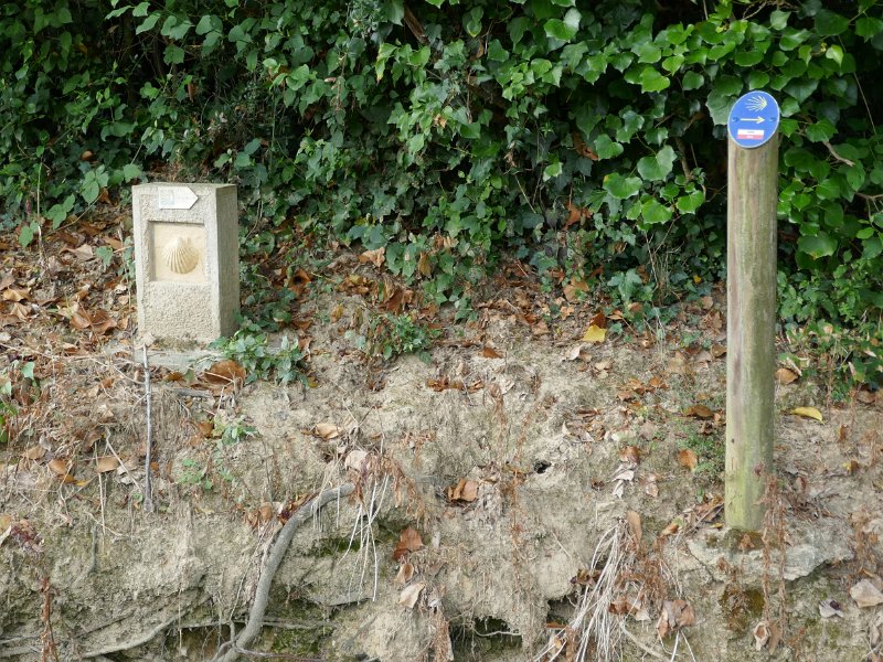09-004.JPG
