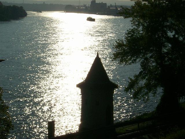 008.JPG
