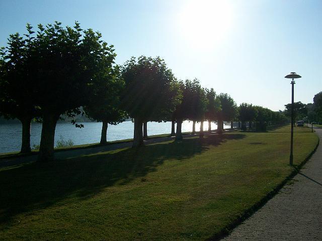 010.JPG