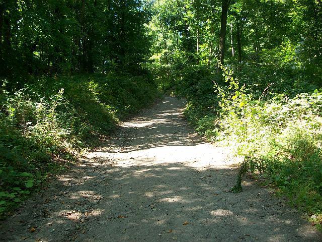 036.JPG