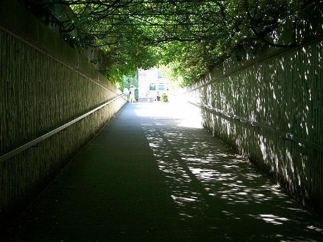 039.JPG