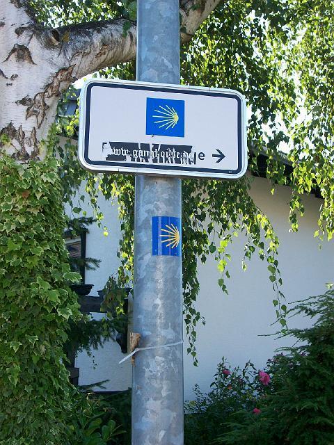 046.JPG