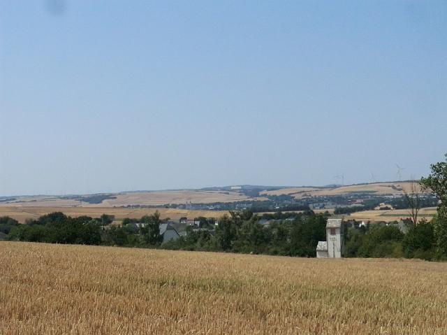 183.JPG