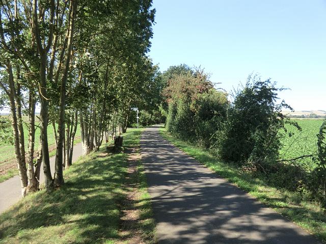 203.JPG