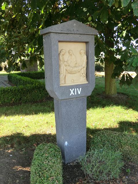 210.JPG
