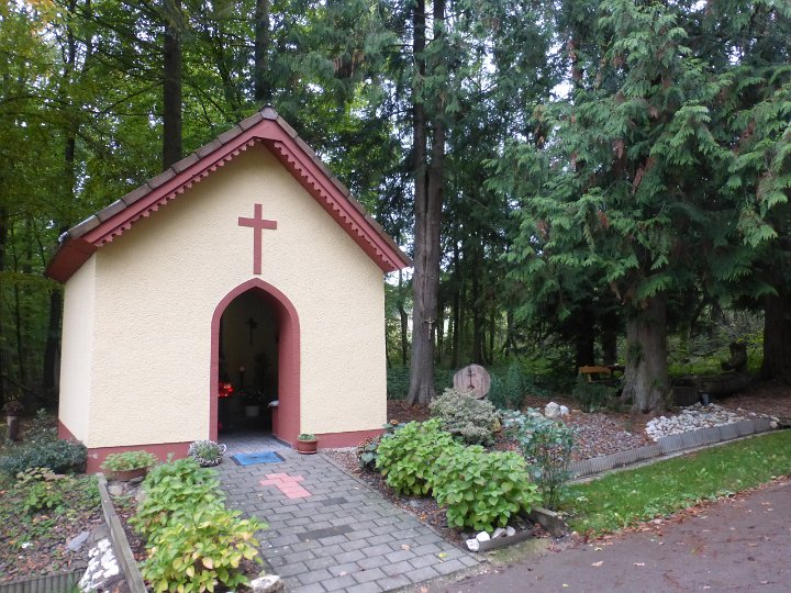 254.JPG
