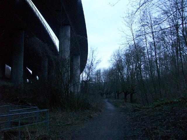 003.JPG