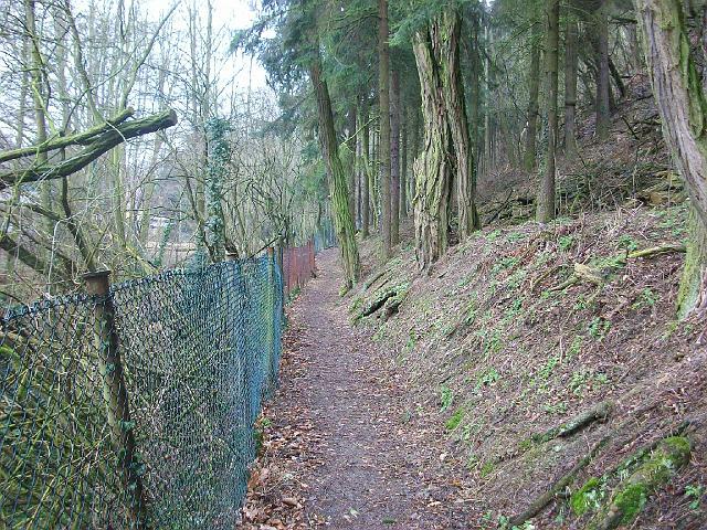 021.JPG