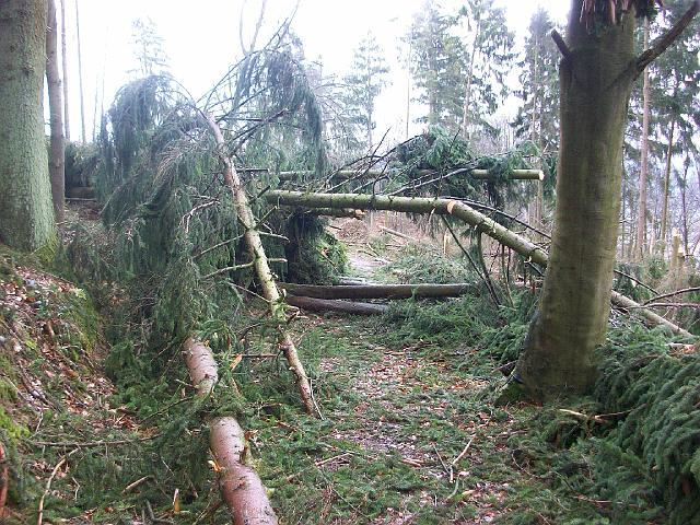 036.JPG
