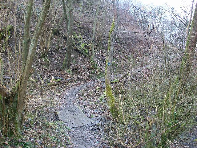 040.JPG
