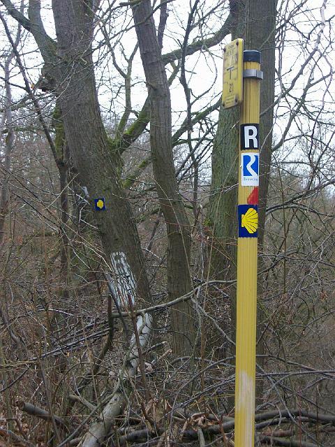 048.JPG
