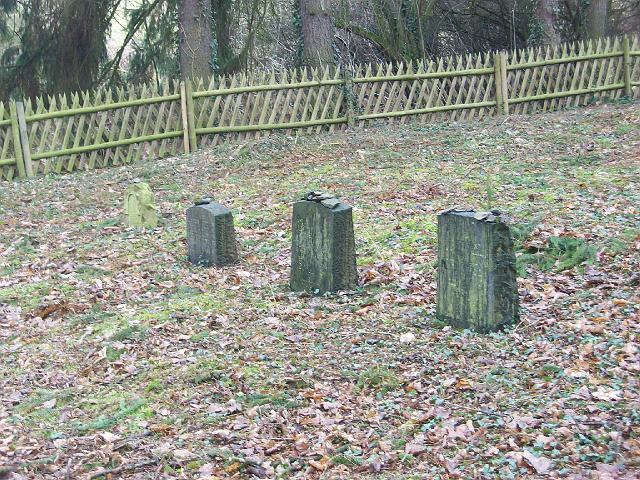 049.JPG