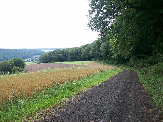080.JPG