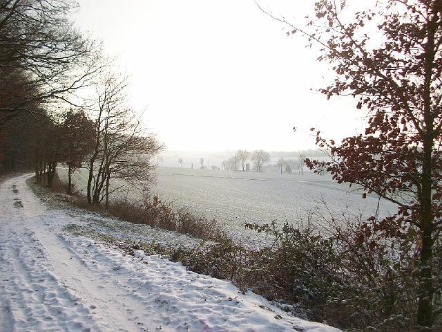 123.jpg