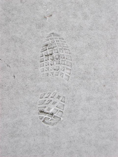 156.jpg