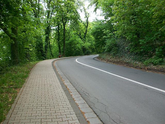 011.JPG