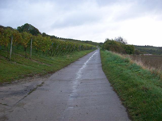 045.JPG