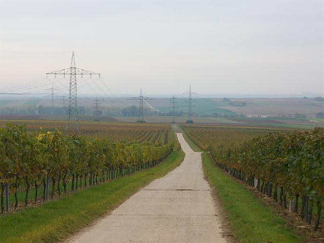 114.JPG