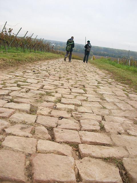 119.JPG