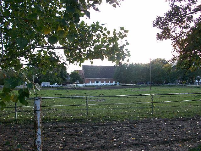 25.jpg