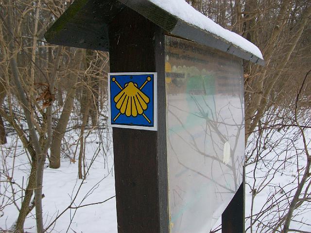 016.JPG