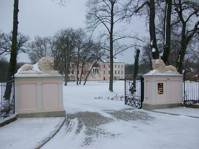 040.JPG